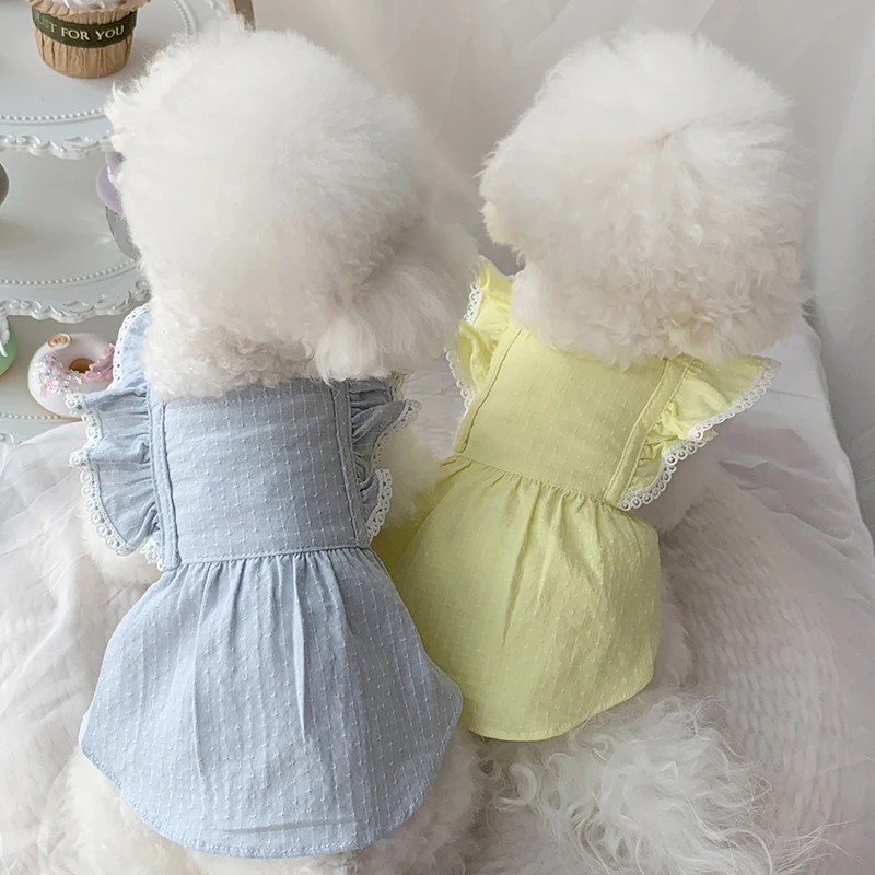 Small Dog Dress Cat Chihuahua Puppy Skirt Teacup Poodles Doggy Clothing Yorkshire maltese Shih Tzu Pomeranian Pet Clothing XXS
Small Dog Dress Cat Chihuahua Puppy Skirt Teacup Poodles Doggy Clothing Yorkshire maltese Shih Tzu Pomeranian Pet Clothing XXS