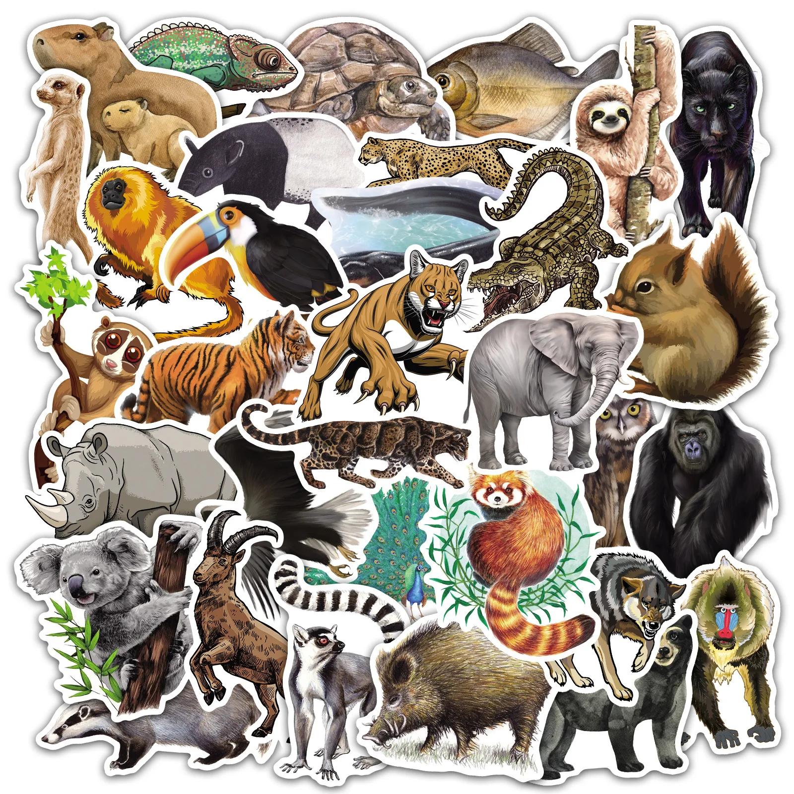 80 Amazon rainforest animal graffiti cartoon stickers children's gift creative skateboard mobile phone notebook trolley suitcase
80 Amazon rainforest animal graffiti cartoon stickers children's gift creative skateboard mobile phone notebook trolley suitcase