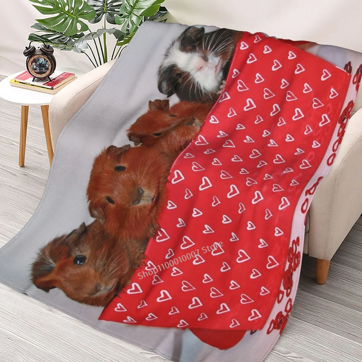 Box Of Trouble Throw Blanket 3D printed sofa bedroom decorative blanket children adult Christmas gift
Box Of Trouble Throw Blanket 3D printed sofa bedroom decorative blanket children adult Christmas gift