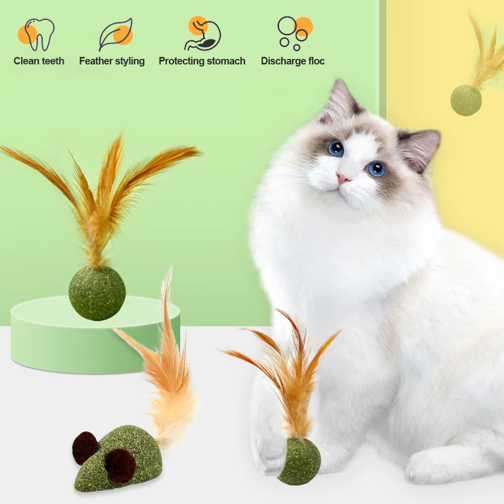 Teeth Cleaning Cat Molar Catnip Ball Cat Ball Pet Toys Cat Feather Toy Cat Toy Cat Snack Catnip Pet Products Interactive Toy
Teeth Cleaning Cat Molar Catnip Ball Cat Ball Pet Toys Cat Feather Toy Cat Toy Cat Snack Catnip Pet Products Interactive Toy