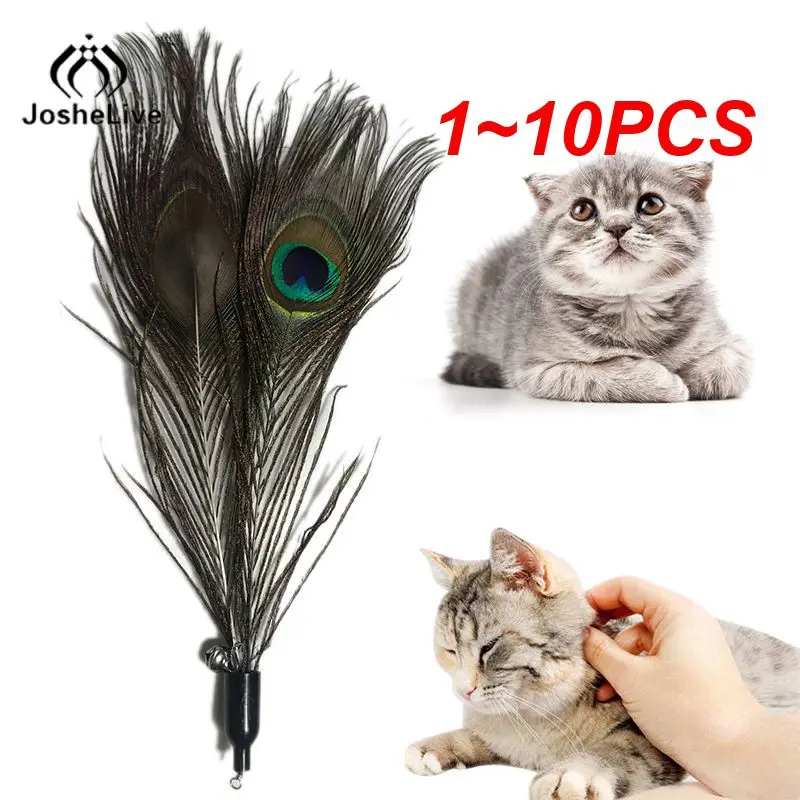 

1~10PCS Pet Supplies Cat Toy Three-section Telescopic Funny Cat Stick Dark Feather Replacement Head Cat Interactive Toy Feather