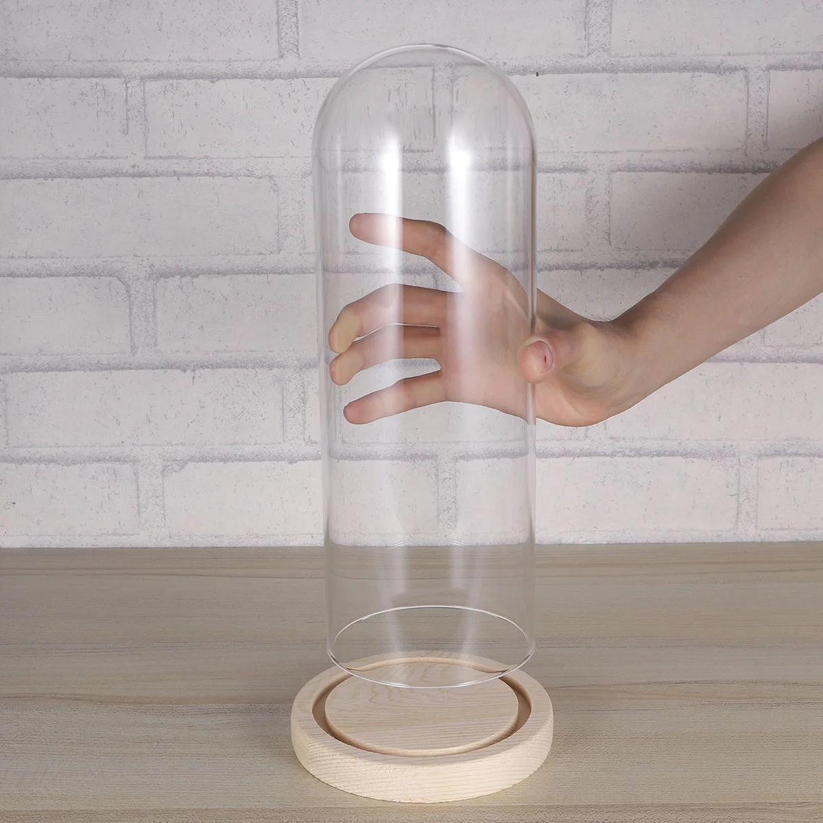1PC Glass Shield Dry Flower Cover Eternal Flower Glass Cover Transparent Glass Cover Base Glass Shield for Bedroom
1PC Glass Shield Dry Flower Cover Eternal Flower Glass Cover Transparent Glass Cover Base Glass Shield for Bedroom