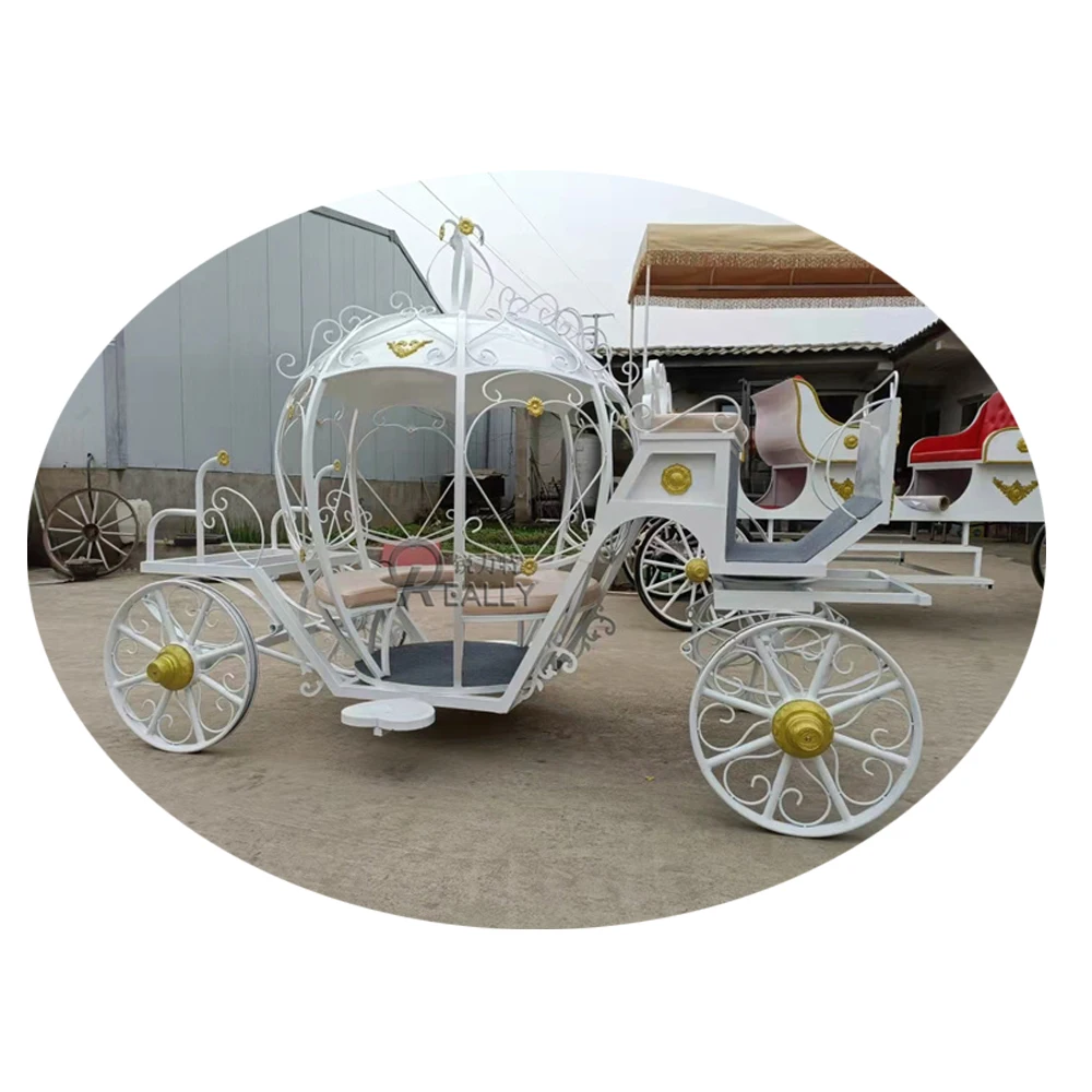 White Princess Cinderella Used Horse Carriage for Sale Royal Pumpkin Wedding Sightseeing Carriages
White Princess Cinderella Used Horse Carriage for Sale Royal Pumpkin Wedding Sightseeing Carriages