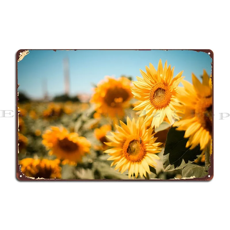 Sunflowers Field Metal Sign Create Home Cinema Printing Wall Cave Tin Sign Poster
Sunflowers Field Metal Sign Create Home Cinema Printing Wall Cave Tin Sign Poster