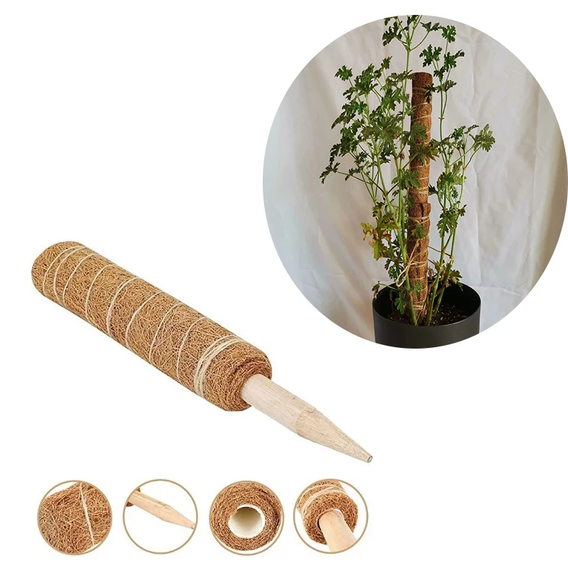 Рама для роста растений, может гнуться и держаться, Кокосовая пальма, лоза
Рама для роста растений, может гнуться и держаться, Кокосовая пальма, лоза