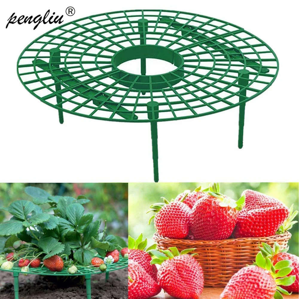 5/10/20 PCS Strawberry Stand Frame Holder Balcony Planting Rack Fruit Support Plant Flower Climbing Vine Pillar Gardening Stand
5/10/20 PCS Strawberry Stand Frame Holder Balcony Planting Rack Fruit Support Plant Flower Climbing Vine Pillar Gardening Stand
