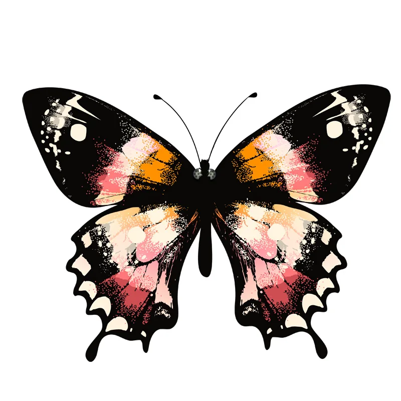 Interesting Butterfly Car Windshield Sticker Motorcycle Decals Vinyl Cover Scratches Waterproof PVC 15x11cm
Interesting Butterfly Car Windshield Sticker Motorcycle Decals Vinyl Cover Scratches Waterproof PVC 15x11cm