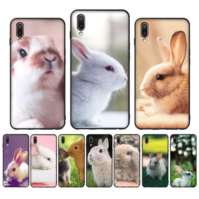 Cute Bunny Rabbit Phone Case for Samsung A51 A30s A52 A71 A12 for Huawei Honor 10i for OPPO vivo Y11 cover
Cute Bunny Rabbit Phone Case for Samsung A51 A30s A52 A71 A12 for Huawei Honor 10i for OPPO vivo Y11 cover