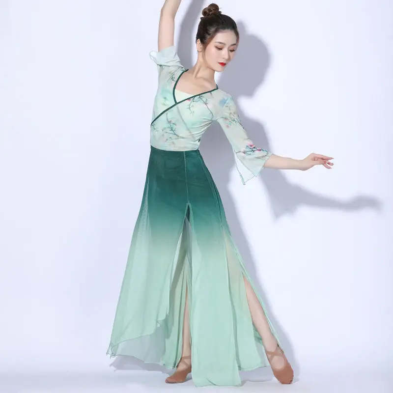 Modern Dance Hanfu Long Skirt Water Skirt Suit Luxury Danse Stage Performance Sexy Women Costume Dance Uniform Outfit Concierto
Modern Dance Hanfu Long Skirt Water Skirt Suit Luxury Danse Stage Performance Sexy Women Costume Dance Uniform Outfit Concierto
