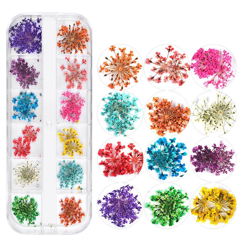 12 Grids Dried Flower Nail Art Mixed Shape with Bottle 3D Dry Flower Nail Japanese UV Gel Nails Manicure Tips Charming
12 Grids Dried Flower Nail Art Mixed Shape with Bottle 3D Dry Flower Nail Japanese UV Gel Nails Manicure Tips Charming