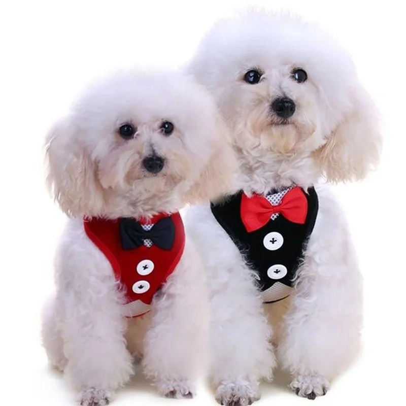 7 Styles 1 Set Cat Dog Harness Vest with Leash Bowtie Gentleman Suit Cute Bowknot Jacket+Leash Set Breathable Pet Harness Vest
7 Styles 1 Set Cat Dog Harness Vest with Leash Bowtie Gentleman Suit Cute Bowknot Jacket+Leash Set Breathable Pet Harness Vest
