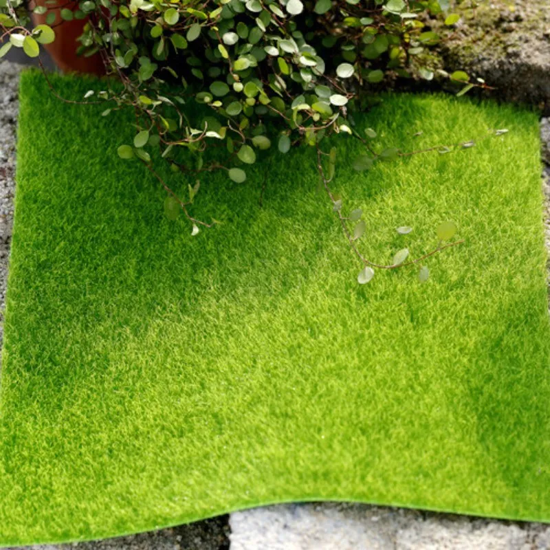 1 Pcs DIY Moss Micro-landscape Plant Landscaping Mini Simulation Artificial Flocking Turf Gardening and Decoration Accessories
1 Pcs DIY Moss Micro-landscape Plant Landscaping Mini Simulation Artificial Flocking Turf Gardening and Decoration Accessories