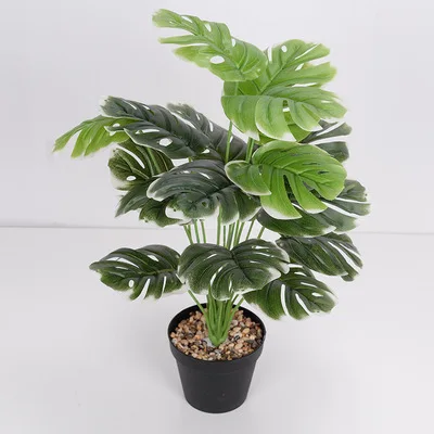 Artificial Plant 18 Turtle Back Leaves 55cm Office Desktop Decoration Home Decoration Fake Plant Simulation Flower Garden Bonsai
Artificial Plant 18 Turtle Back Leaves 55cm Office Desktop Decoration Home Decoration Fake Plant Simulation Flower Garden Bonsai