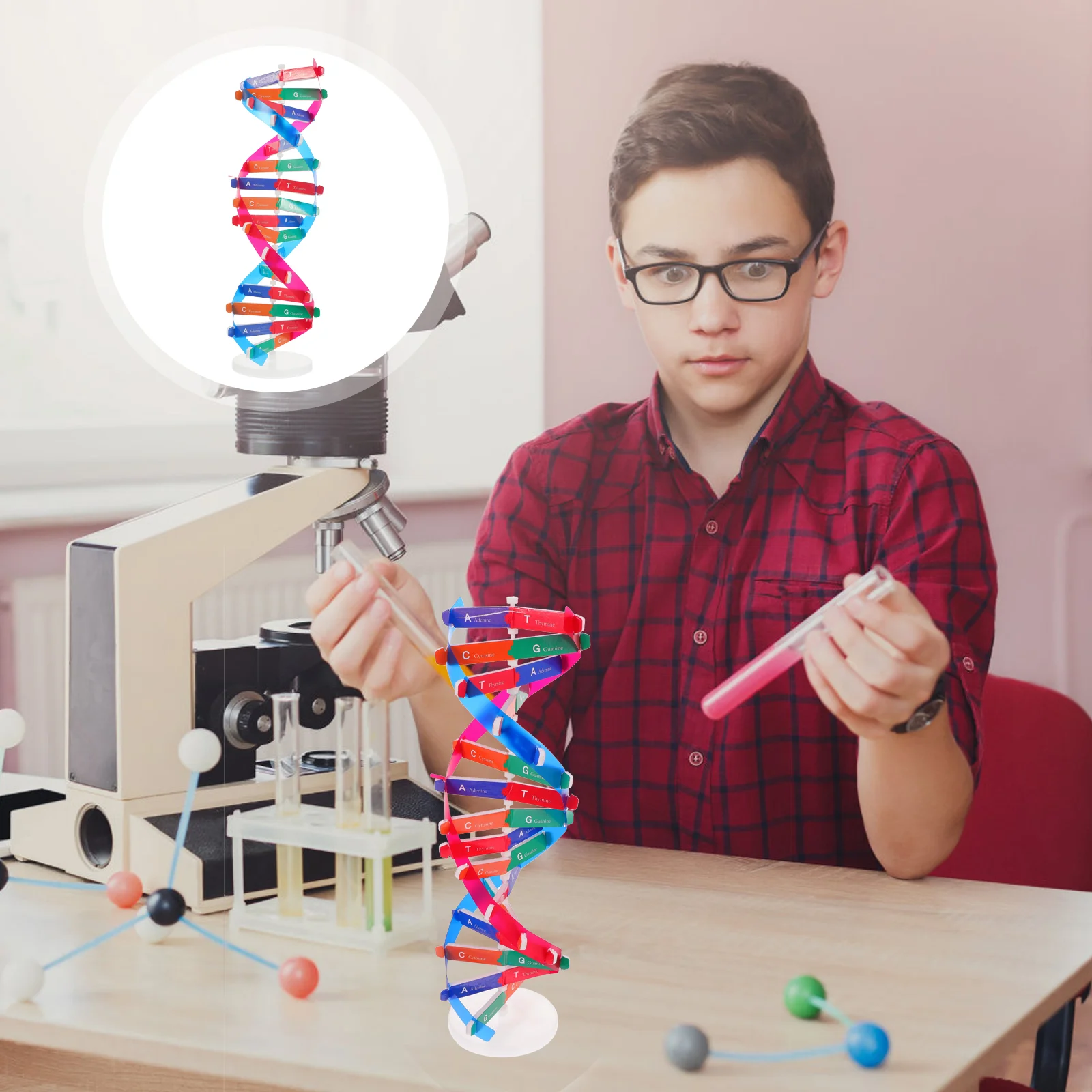 Model Dna Teaching Kit Aids Science Double Helix Cell Toy Classroom Animal Electromagnet Atom Models Educational Learning
Model Dna Teaching Kit Aids Science Double Helix Cell Toy Classroom Animal Electromagnet Atom Models Educational Learning
