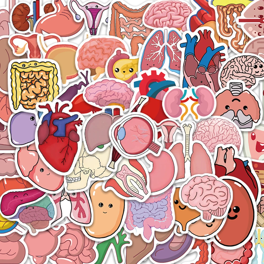 10/65PCS Cartoon organ Stickers Vintage For DIY Notebook Guitar Scrapbooking Motorcycle Laptop Luggage Graffiti Decals
10/65PCS Cartoon organ Stickers Vintage For DIY Notebook Guitar Scrapbooking Motorcycle Laptop Luggage Graffiti Decals