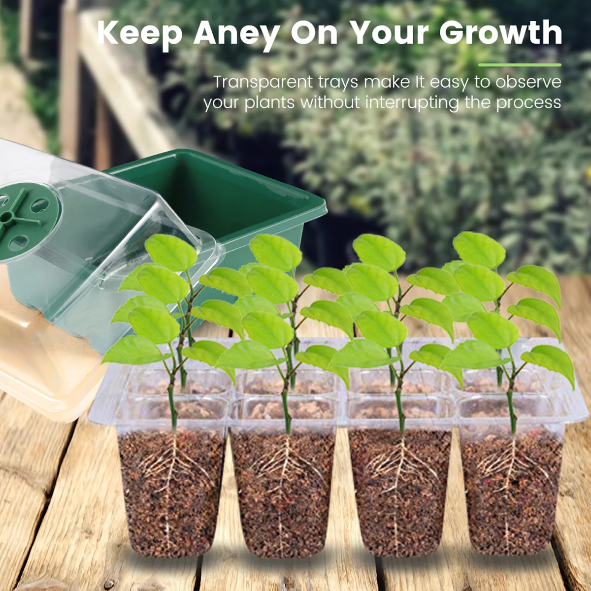 4Pcs Seed Starter Tray 12-Cell Seedling Tray Humidity Adjustable Plant Germination Tray Mini Propagator Seed Starter Grow Box
4Pcs Seed Starter Tray 12-Cell Seedling Tray Humidity Adjustable Plant Germination Tray Mini Propagator Seed Starter Grow Box