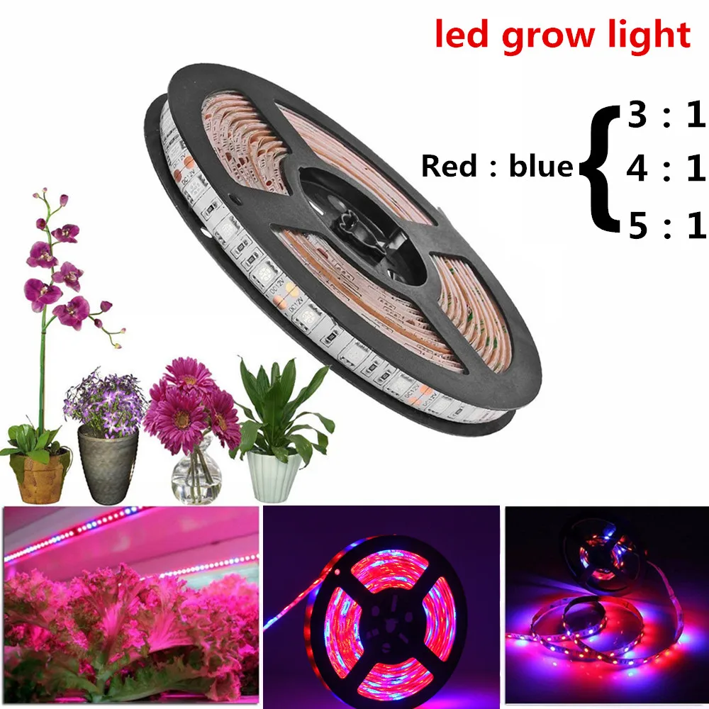 DC 12V Full Spectrum LED Grow Light Strip Flower Plant Seed Grow Light for Indoor Greenhouse Hydroponic Grow Light
DC 12V Full Spectrum LED Grow Light Strip Flower Plant Seed Grow Light for Indoor Greenhouse Hydroponic Grow Light