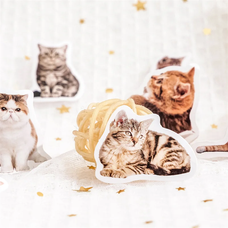 45 pcs/box Boxed Scrapbooking sticker Cute kitten sticker cartoon animal Self-adhesive sticker animal cat sticker
45 pcs/box Boxed Scrapbooking sticker Cute kitten sticker cartoon animal Self-adhesive sticker animal cat sticker