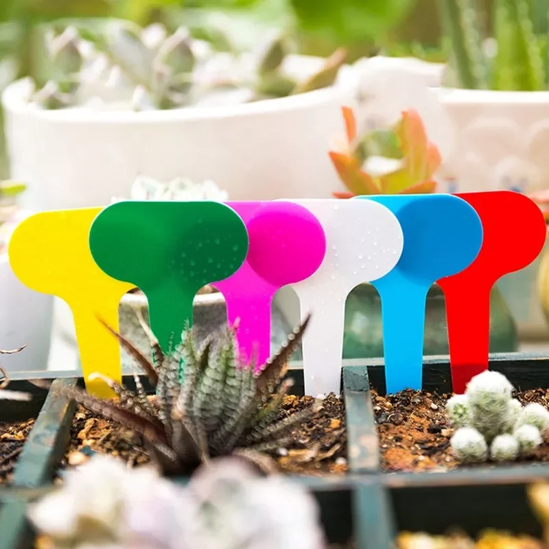 100PCS Plant Tags T Type Plant Markers Colorful Waterproof Label Nursery Garden Labels for Plant Pot Vegetable Seedling Tray
100PCS Plant Tags T Type Plant Markers Colorful Waterproof Label Nursery Garden Labels for Plant Pot Vegetable Seedling Tray