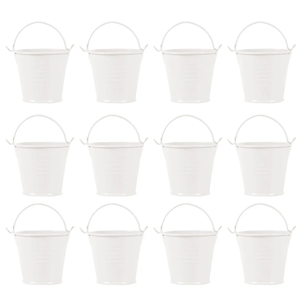 12Pcs Small Metal Buckets Pails with Handles Egg Cup Planter Flowerpot for Small Plants Party Favors Candy Votive Candles Clay
12Pcs Small Metal Buckets Pails with Handles Egg Cup Planter Flowerpot for Small Plants Party Favors Candy Votive Candles Clay
