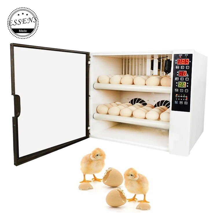 2019 Incubator 60 Chicken eggs mini egg incubator fully automatic 220V &12V Dual Voltage
2019 Incubator 60 Chicken eggs mini egg incubator fully automatic 220V &12V Dual Voltage