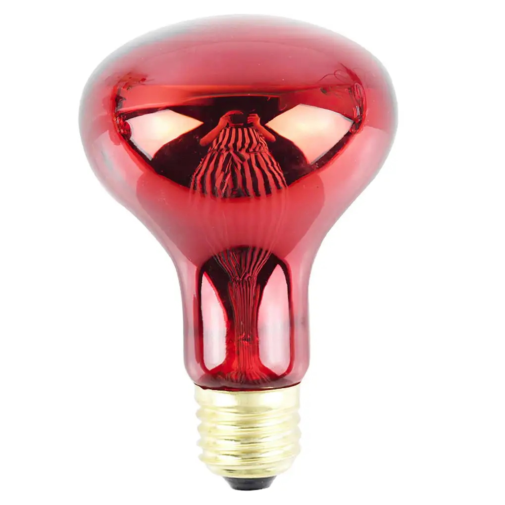 Лампы для домашних животных, 220-240 В
Лампы для домашних животных, 220-240 В