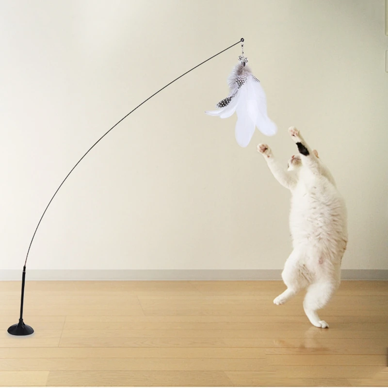 interactive Cat Toy with Suction Cup Simulation Bird Funny Feather Bird Cat Stick Toy Kitten Play Chase Wand Toy Cat Supplies
interactive Cat Toy with Suction Cup Simulation Bird Funny Feather Bird Cat Stick Toy Kitten Play Chase Wand Toy Cat Supplies