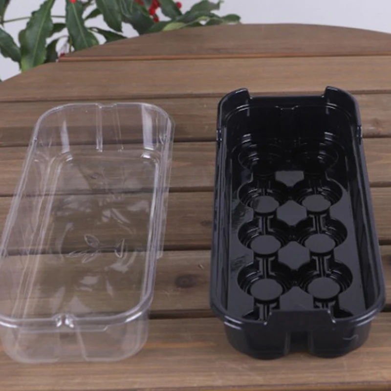 Plant Flower Succulent Seeds Grow Box With Lids Greenhouses Seedlings Starter Tray Plastic Seed Germinator Nursery Flower Pot
Plant Flower Succulent Seeds Grow Box With Lids Greenhouses Seedlings Starter Tray Plastic Seed Germinator Nursery Flower Pot