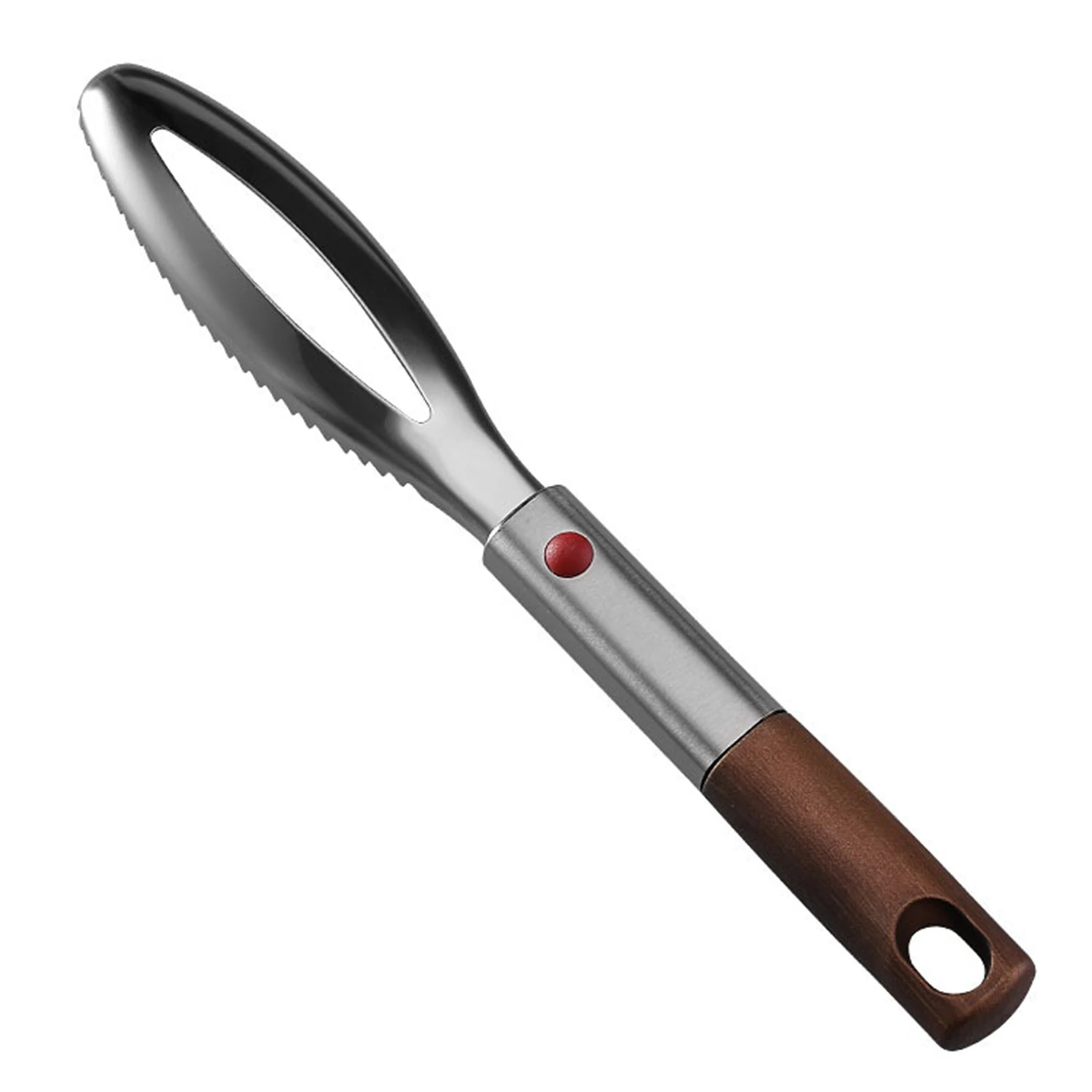 Fast Fish Scaler Brush With Sawtooth Easily Removing Scales Cleaning Scraper Stainless Steel Multifunction Fish Descaler Tool
Fast Fish Scaler Brush With Sawtooth Easily Removing Scales Cleaning Scraper Stainless Steel Multifunction Fish Descaler Tool