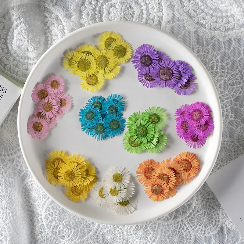 500pcs/bag Dried Flowers Erigeron Acris Pressed Flower Scrapbooking DIY Resin Jewelry Crafts Nails Decor Candle Soap Making
500pcs/bag Dried Flowers Erigeron Acris Pressed Flower Scrapbooking DIY Resin Jewelry Crafts Nails Decor Candle Soap Making
