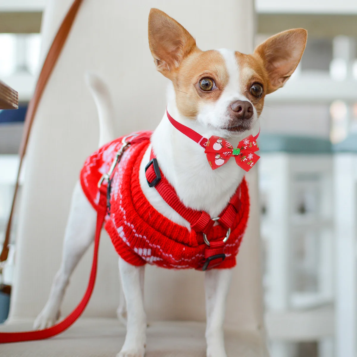 16Pcs Christmas Cat Collar Dog Costume Props Cat Christmas Collar Christmas Dog Collar Breakaway Cat Collar Puppy Bibs
16Pcs Christmas Cat Collar Dog Costume Props Cat Christmas Collar Christmas Dog Collar Breakaway Cat Collar Puppy Bibs