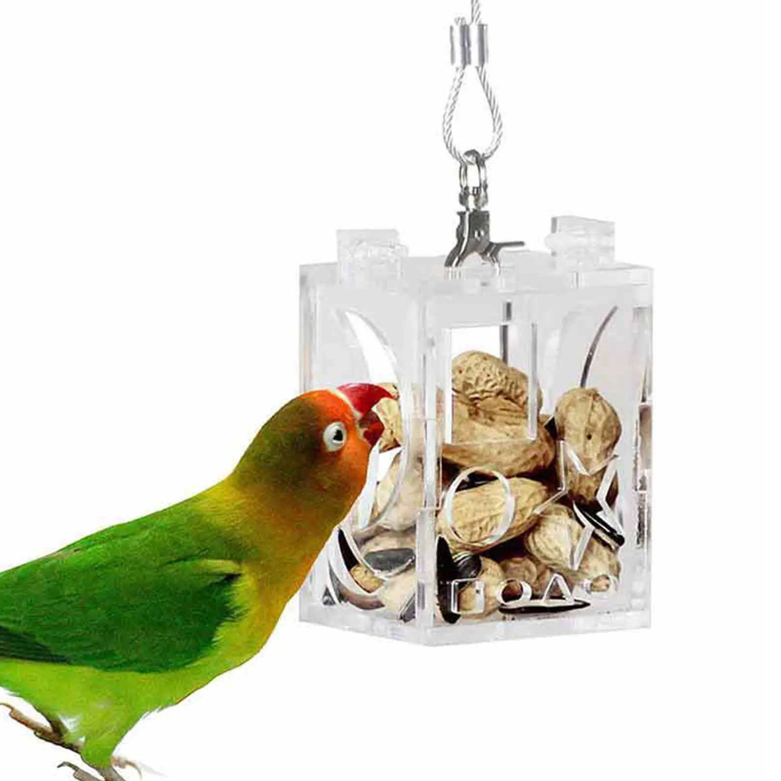 Innovative Bird Foraging Toys Transparent Parrots Food Feeder Bird Foraging Toys Bird Feeders For Budgie Parakeet Canary Finch
Innovative Bird Foraging Toys Transparent Parrots Food Feeder Bird Foraging Toys Bird Feeders For Budgie Parakeet Canary Finch