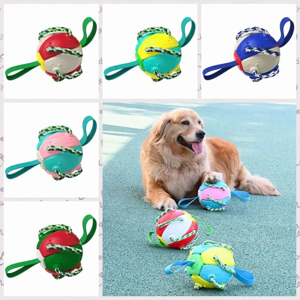 

Wear resistant Bite resistant Plastic Interactive Puppy Molar Toy Dog Soccer Ball Dog Flying Disc Dog Training Ball