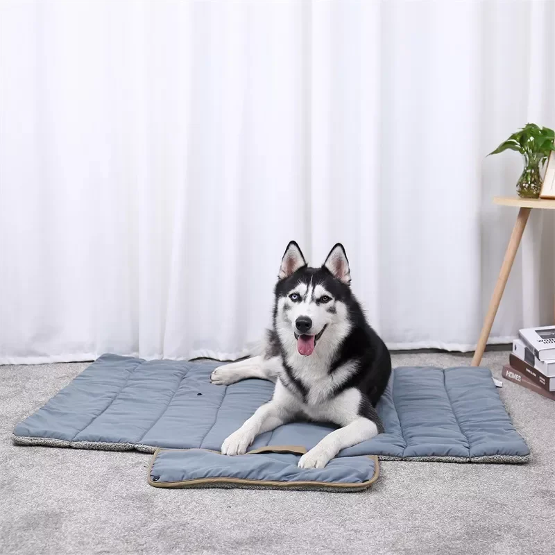 2 Colors Pet Easy Convenient to Take Storage Foldable Dogs Pets Mat forTravel Cat Dog Bed Puppy Soft Cushion For Animals Dog Cat
2 Colors Pet Easy Convenient to Take Storage Foldable Dogs Pets Mat forTravel Cat Dog Bed Puppy Soft Cushion For Animals Dog Cat