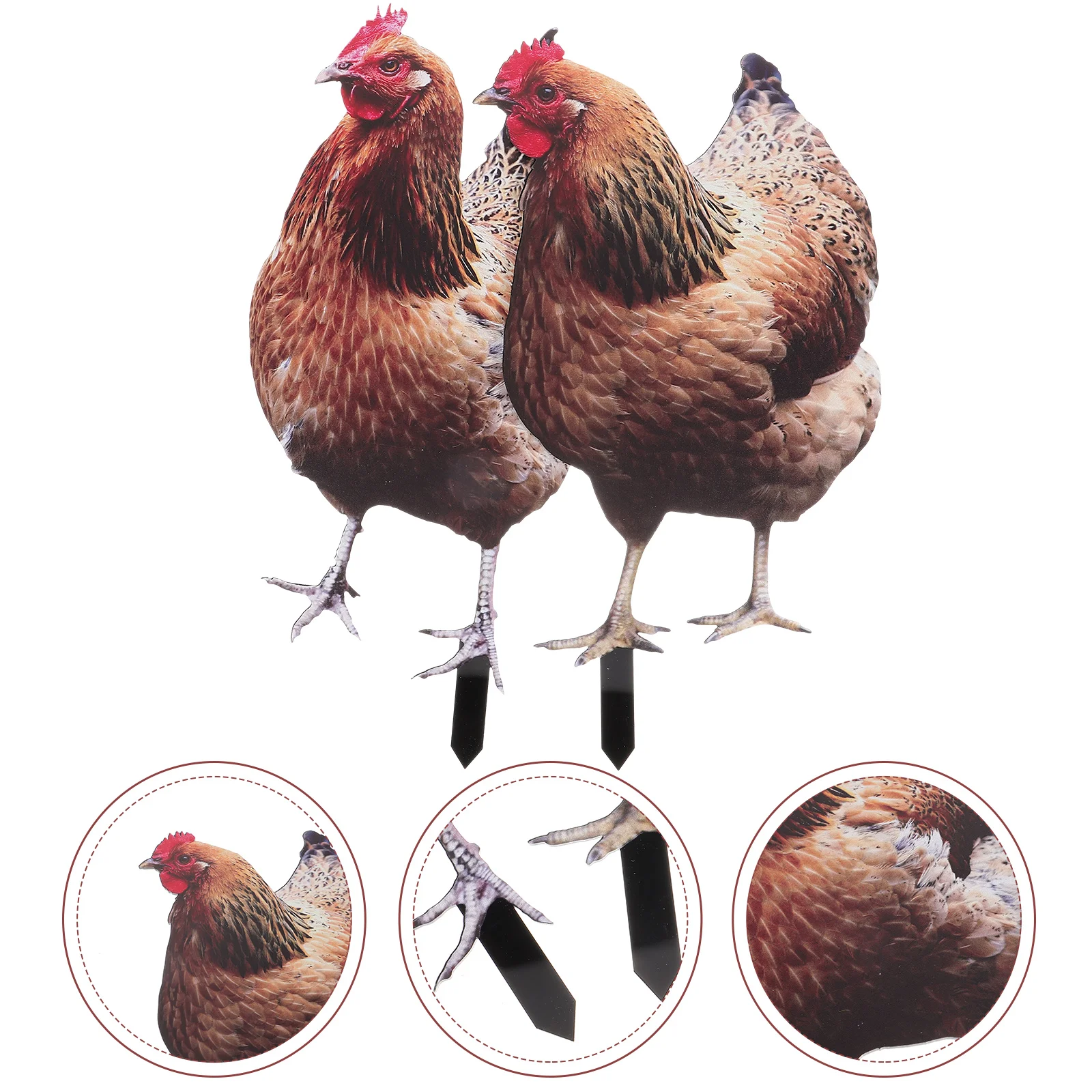 2pcs Chicken Yard Garden Hen Decoration Ornament Decorative Garden Stake Chicken Yard Sign Acrylic Rooster Animal Stake Rooster
2pcs Chicken Yard Garden Hen Decoration Ornament Decorative Garden Stake Chicken Yard Sign Acrylic Rooster Animal Stake Rooster