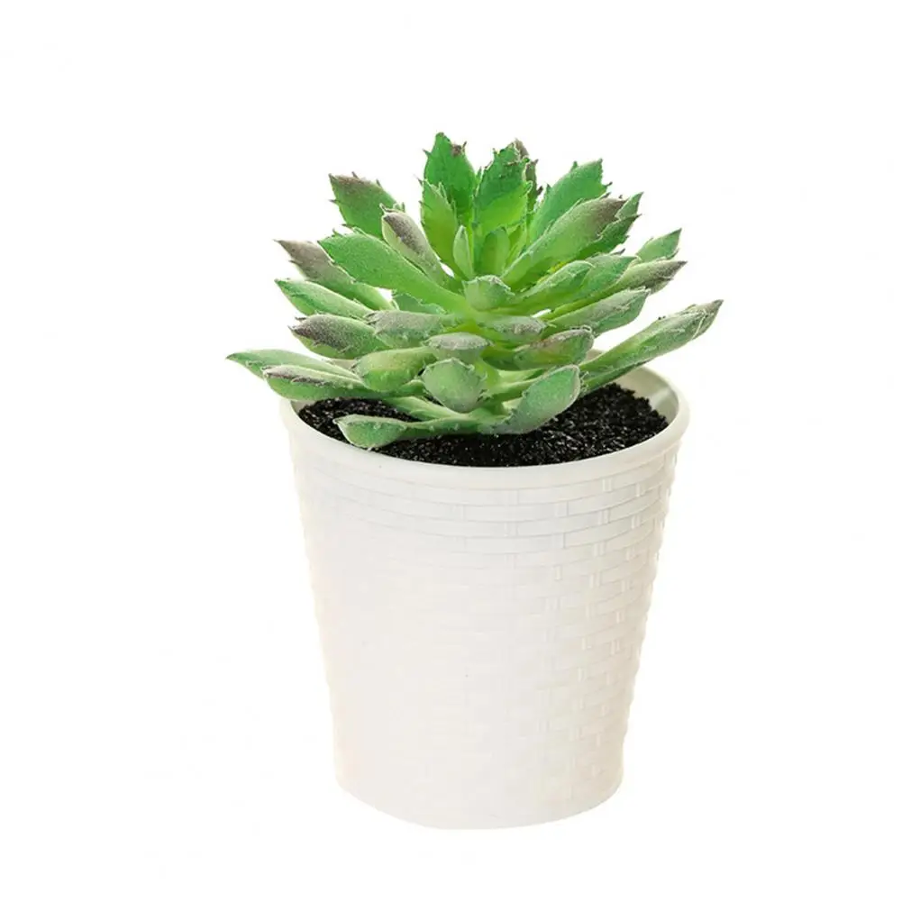 Lightweight Simulation Succulents Non-fading Lightweight Artificial Small Succulents Plants Imitation Plants Faux Flower
Lightweight Simulation Succulents Non-fading Lightweight Artificial Small Succulents Plants Imitation Plants Faux Flower