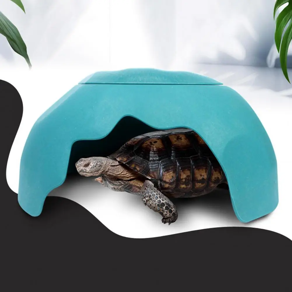Creeping Pet Shelter Smooth Edges Multifunctional Tortoise Lizards Landscaping Cave Pet Shelter Crawling Pet Feeder 1 Set
Creeping Pet Shelter Smooth Edges Multifunctional Tortoise Lizards Landscaping Cave Pet Shelter Crawling Pet Feeder 1 Set