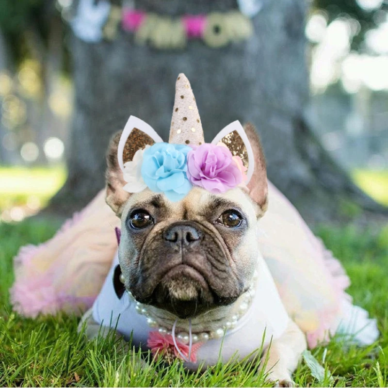 Headwear Funny Christmas Hats Princess Goods for Cats Pet Accessories New Year Costume Cat Supplies Products Home Garden
Headwear Funny Christmas Hats Princess Goods for Cats Pet Accessories New Year Costume Cat Supplies Products Home Garden