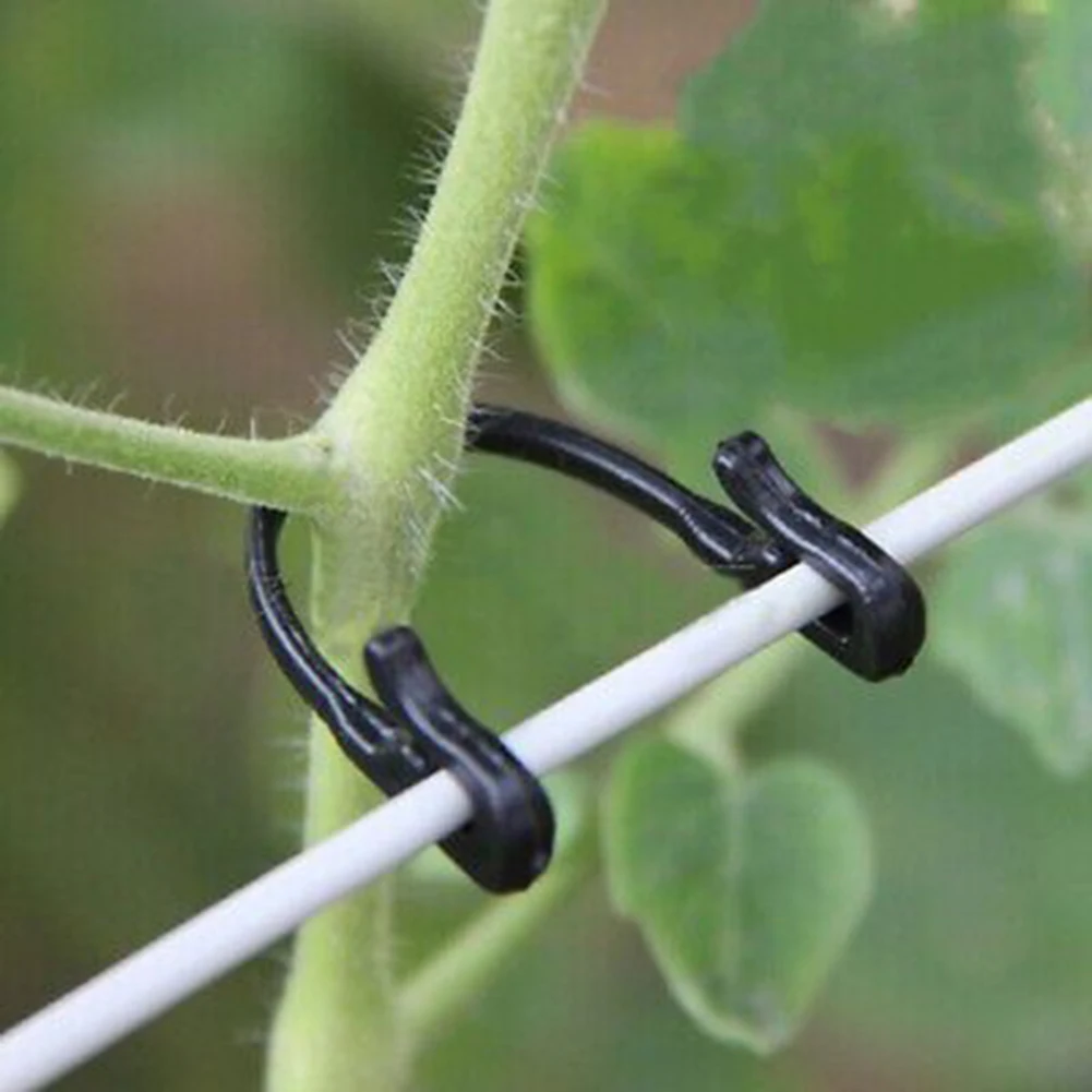 Trellis Garden Clip Garden Hook Trellis For Garden Plant Twine U Type Vegetable Binder Garden Supply Plant Support
Trellis Garden Clip Garden Hook Trellis For Garden Plant Twine U Type Vegetable Binder Garden Supply Plant Support