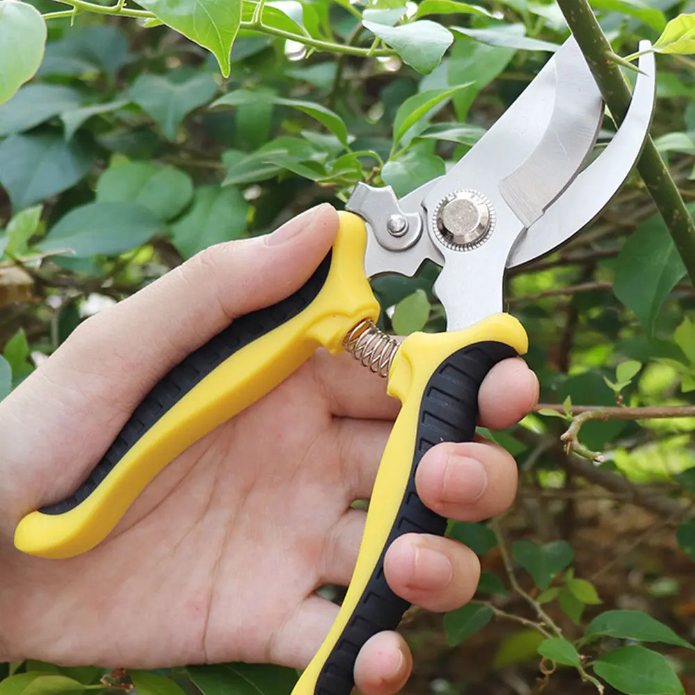 Professional Sharp Pruning Shears Garden Scissors Tree Trimmers Secateurs Multifunctional Pruning Shears Gardening Hand
Professional Sharp Pruning Shears Garden Scissors Tree Trimmers Secateurs Multifunctional Pruning Shears Gardening Hand