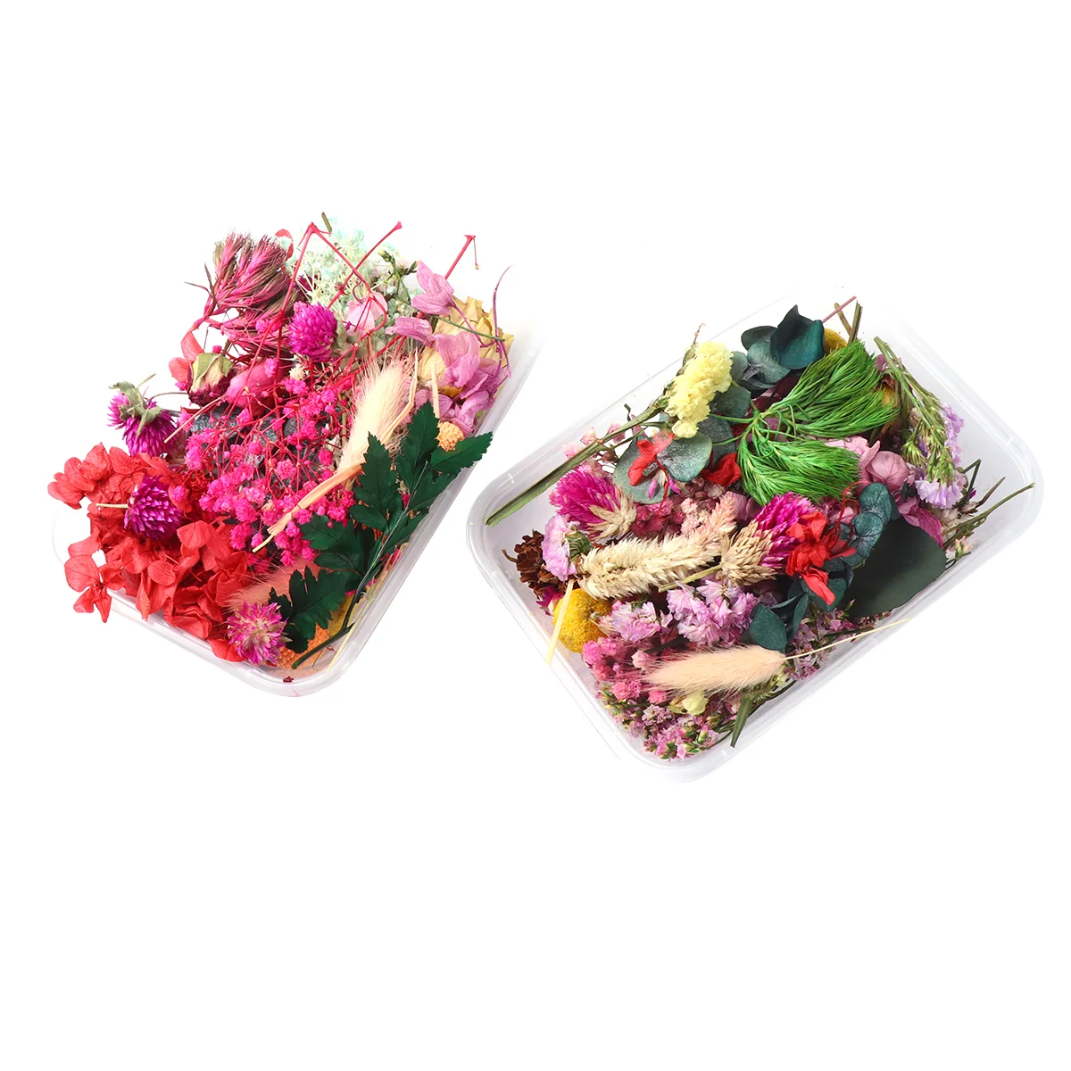 Flowers Dried Flower Dry Pressed Natural Nail Diymixedresin Bath Real Making Multiple Bookmark Specimen Jewelry Accessories Bomb
Flowers Dried Flower Dry Pressed Natural Nail Diymixedresin Bath Real Making Multiple Bookmark Specimen Jewelry Accessories Bomb