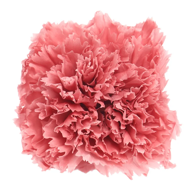 Вечные гвоздики из шелка, 8 шт.
Вечные гвоздики из шелка, 8 шт.