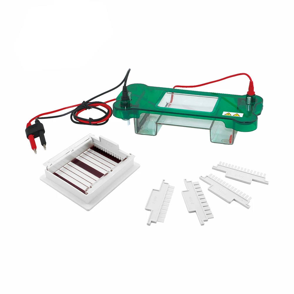 DW-SPBT Gel Electrophoresis Apparatus Equipment Electrophoresis System Gel Electrophoresis
DW-SPBT Gel Electrophoresis Apparatus Equipment Electrophoresis System Gel Electrophoresis