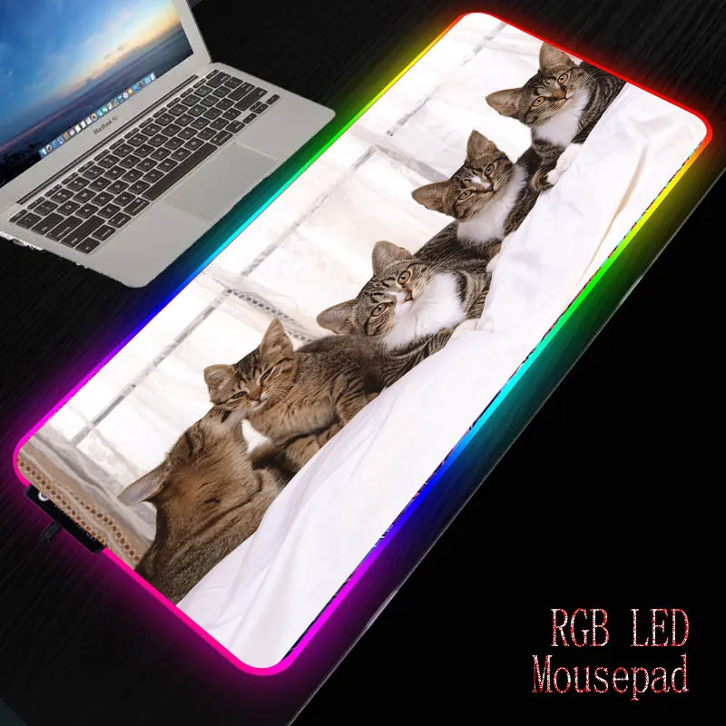 MRGBEST Hot Large Mouse Pad A Lot of Cute Kittens with Mousepad Anti-slip Natural Rubber with Locking Edge Gaming Mouse Mat
MRGBEST Hot Large Mouse Pad A Lot of Cute Kittens with Mousepad Anti-slip Natural Rubber with Locking Edge Gaming Mouse Mat