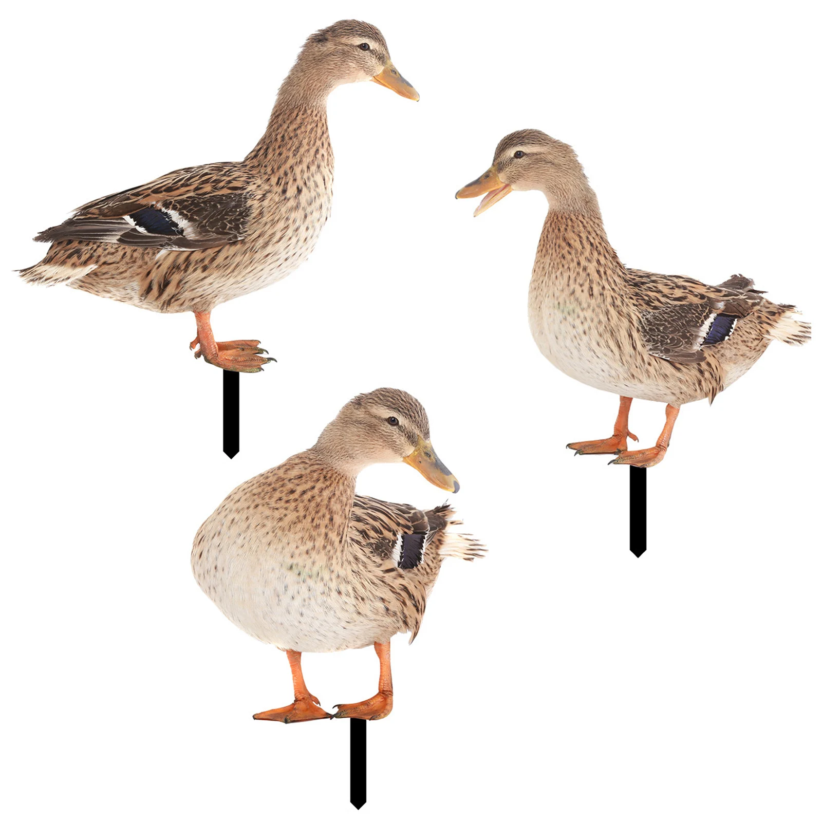 Acrylic Duck Stake Garden Stake Decoration Courtyard Garden Outdoor Decorative Stakes Wind Spinners Garden Statue
Acrylic Duck Stake Garden Stake Decoration Courtyard Garden Outdoor Decorative Stakes Wind Spinners Garden Statue