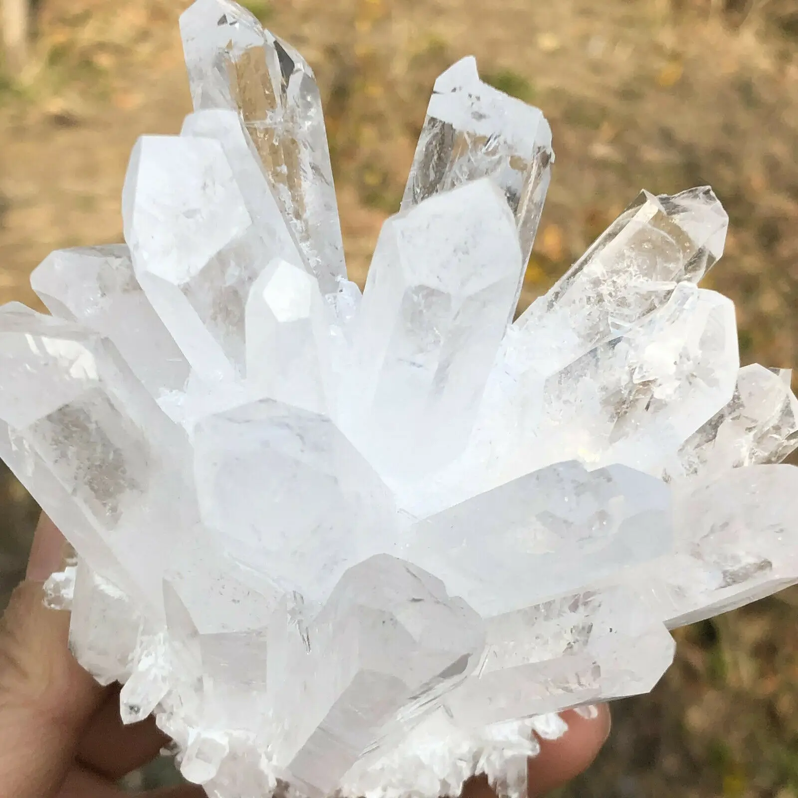 Natural Rare White Quartz Crystal Cluster Mineral Specimen Healing Feng Shui Mineral Energy Crystals Lucky Decoration Home
Natural Rare White Quartz Crystal Cluster Mineral Specimen Healing Feng Shui Mineral Energy Crystals Lucky Decoration Home