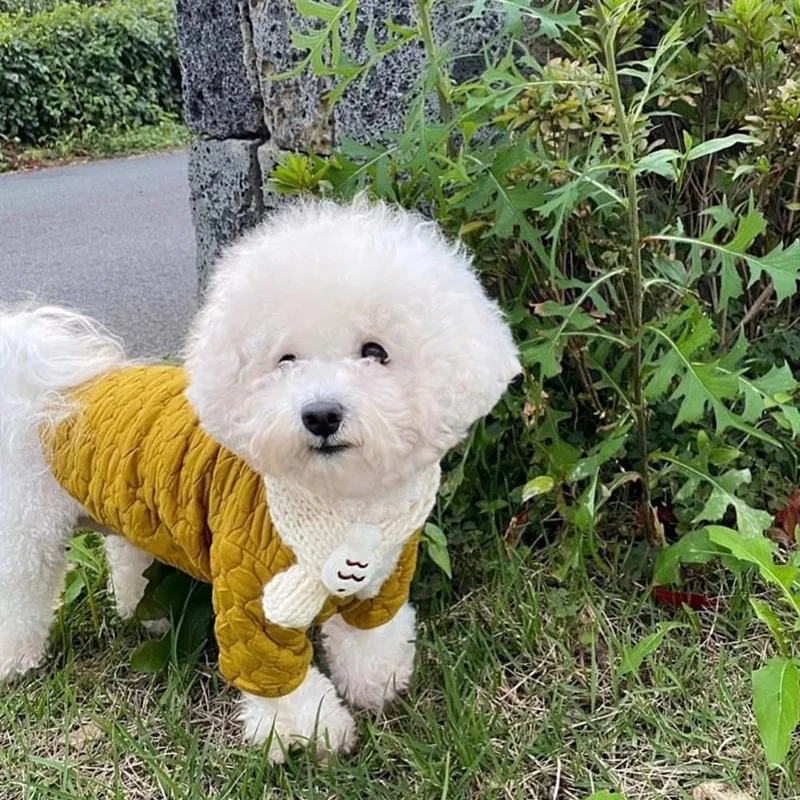 Thick Warm Pet Cotton Clothes Cat Clothes Dog Clothes Pet Clothes Pet Supplies Pet Accessories Cat Accessories Dog Costume
Thick Warm Pet Cotton Clothes Cat Clothes Dog Clothes Pet Clothes Pet Supplies Pet Accessories Cat Accessories Dog Costume