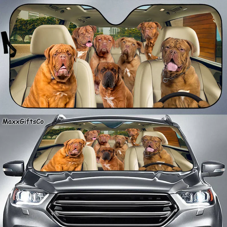 Автомобильный солнцезащитный козырек Dogue de Бордо, семейный козырек для собак на ветровое стекло, автомобильные аксессуары для собак, украшение автомобиля, подарок для папы, мамы
Автомобильный солнцезащитный козырек Dogue de Бордо, семейный козырек для собак на ветровое стекло, автомобильные аксессуары для собак, украшение автомобиля, подарок для папы, мамы