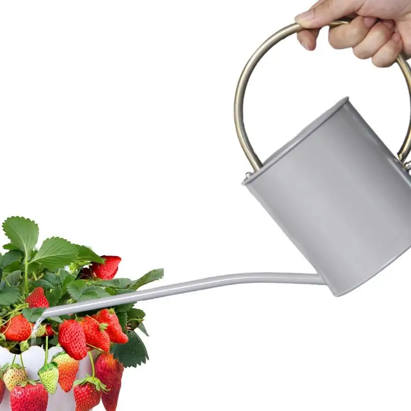 Garden Watering Can Stainless Steel Long Mouth Watering Pot Gardening Potted Watering Kettle Watering Gardening Tool Spray
Garden Watering Can Stainless Steel Long Mouth Watering Pot Gardening Potted Watering Kettle Watering Gardening Tool Spray
