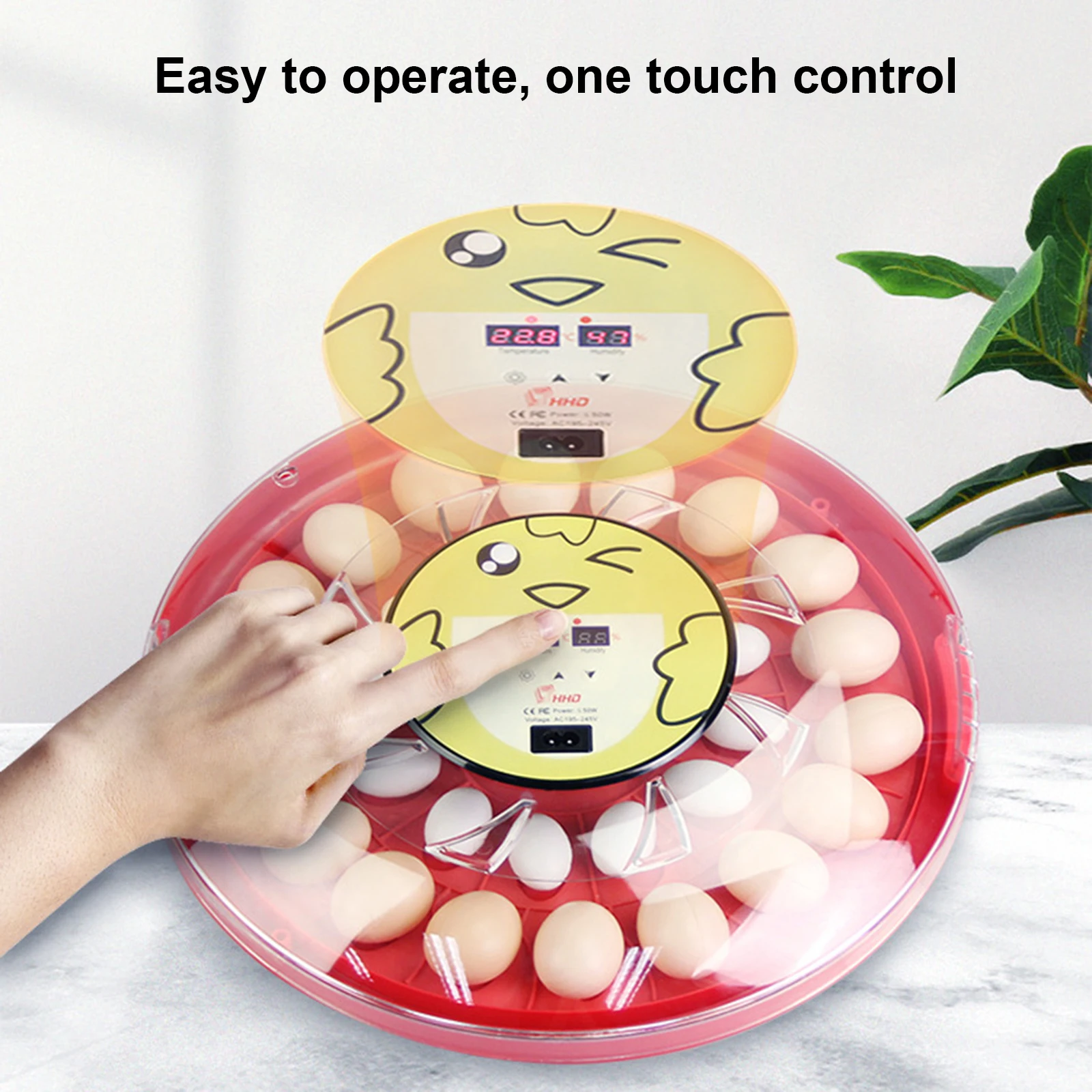 30 eggs incubator, automatic egg turning function, mini home small hatching equipment, temperature control display incubator
30 eggs incubator, automatic egg turning function, mini home small hatching equipment, temperature control display incubator